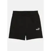 ESS Small No. 1 Logo 5   High-