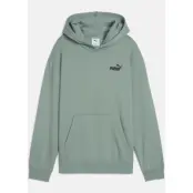 ESS Small No. 1 Logo Relaxed H, Green Moon, 128,  Hoodies