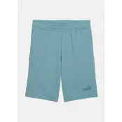 ESS Small No.1 Logo Shorts TR