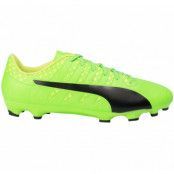 Evopower Vigor 4 Ag, Green Gecko-Puma Black-Safety, 39