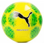 Evospeed 5.5 Fade Ball, Safety Yellow-Green Gecko-Puma, 4,  Puma