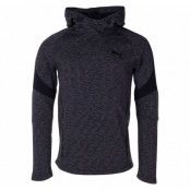 Evostripe Hoody, Cotton Black, Xs,  Puma