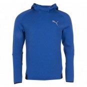 Evostripe Proknit Hoody, Puma Royal Heather, M, Puma