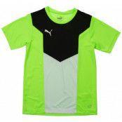 Ftbltrg Jr Shirt, Green Gecko-Puma Black-Puma Wh, 128,  Puma