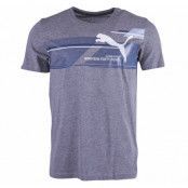 Fun Dry Graphic Tee, Gray, L,  Puma