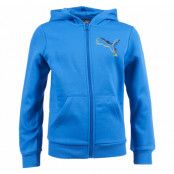 Fun Graph Ess Hood Sw Jkt Flcb, Cloisonné, 104,  Puma