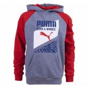 Fun Ind Graphic Hooded Sweat,, Gray, 128,  Puma