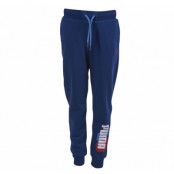 Fun Ind Graphic Sweat Pants, C, Blue, 128,  Puma