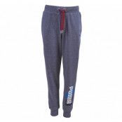 Fun Ind Graphic Sweat Pants, C, Gray, 140,  Puma