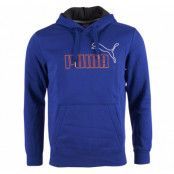 Fun Ka Puma Hooded Sweat Fl, Sodalite B, L,  Puma