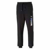 Fun Sweat Pants Fl Cl, Black, L,  Puma