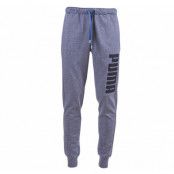 Fun Sweat Pants Fl Cl, Gray, M,  Puma