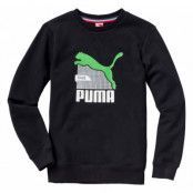 Fun Td Graphic Crew S Fleece B, Black, 128, Puma
