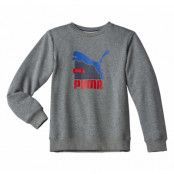 Fun Td Graphic Crew S Fleece B, Medium Gra, 140,  Puma