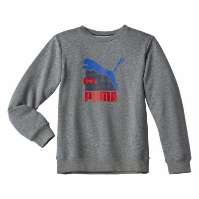 Fun Td Graphic Crew S Fleece B, Medium Gra, 176,  Puma