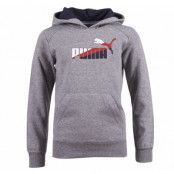 Fun Td Graphic Hooded Sw Flc B, Medium Gra, 104,  Puma