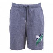 Fun Td Sweat Bermudas B, Gray, 104,  Puma