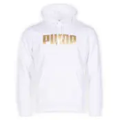 Holiday Pack Hoodie Fl, Puma White, Xxl,  Puma