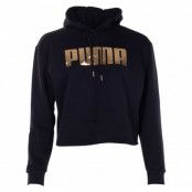 Holiday Pack Hoodie Fl Wmns, Cotton Black, L,  Puma