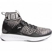 Ignite Evoknit, Puma Black-Quiet Shade-Puma Wh, 37