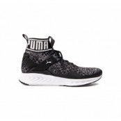 Ignite Evoknit Wn's, Puma Black-Quiet Shade-Puma Wh, 37,5