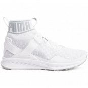 Ignite Evoknit Wn's, Puma White-Quarry-Vaporous Gra, 36