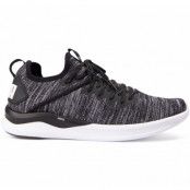 Ignite Flash Evoknit, Puma Black-Asphalt-Puma White, 41