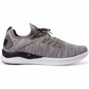 Ignite Flash Evoknit, Steel Gray-Puma Black, 43