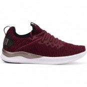 Ignite Flash Luxe Wns, Fig-Puma Black-Metallic Ash, 42