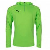 It Evotrg Hoody, Green Gecko-Puma Black, S,  Puma