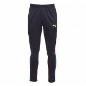 It Evotrg Pant, Black, L,  Puma