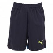 It Evotrg Shorts, Black, L,  Puma