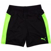 It Evotrg Shorts, Puma Black-Green Gecko, Xs,  Puma