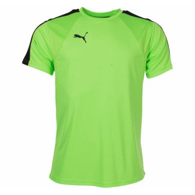 It Evotrg Training Tee, Green Gecko-Puma Black, L,  Puma