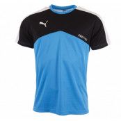 It Evotrg Training Tee, Hawaiian O, L,  Puma