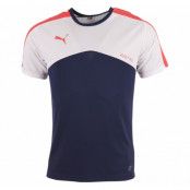 It Evotrg Training Tee, Peacoat, L,  Puma