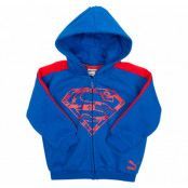 Justice League Hooded Jogger, Lapis Blue, 62,  Puma