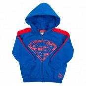 Justice League Hooded Jogger, Lapis Blue, 98,  Puma