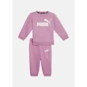 Minicats Ess Crew Jogger Fl, Mauved Out, 62,  Joggingset