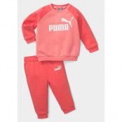 Minicats Ess Raglan Jogger Fl, Salmon, 62,  Byxor