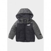 Minicats Hooded Padded Jacket, Puma Black, 62,  Vinterjackor