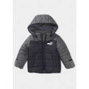 Minicats Hooded Padded Jacket, Puma Black, 92,  Vinterjackor