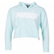 Modern Sports Hoody G, Fair Aqua, 116,  Puma