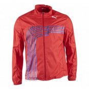 Norway Warm Up Jacket, Chinese Re, L,  Puma