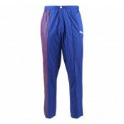 Norway Warm Up Pants, Mazarine B, L,  Puma