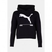 Nu-Tility Hoody, Puma Black, Xl,  Hoodies