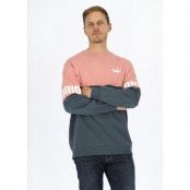 Puma Power Colorblock Crew Tr, Dark Slate-Rosette, 2xl,  Tröjor