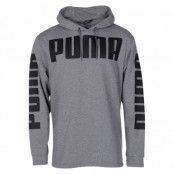 rebel hoody tr, medium gray heather, l,  puma