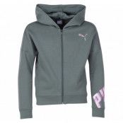 Style Fz Hoody G, Laurel Wreath, 176,  Puma