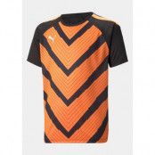 Teamliga Graphic Jersey Jr, Puma Black-Neon Citrus, 116,  Löpar-T-Shirts